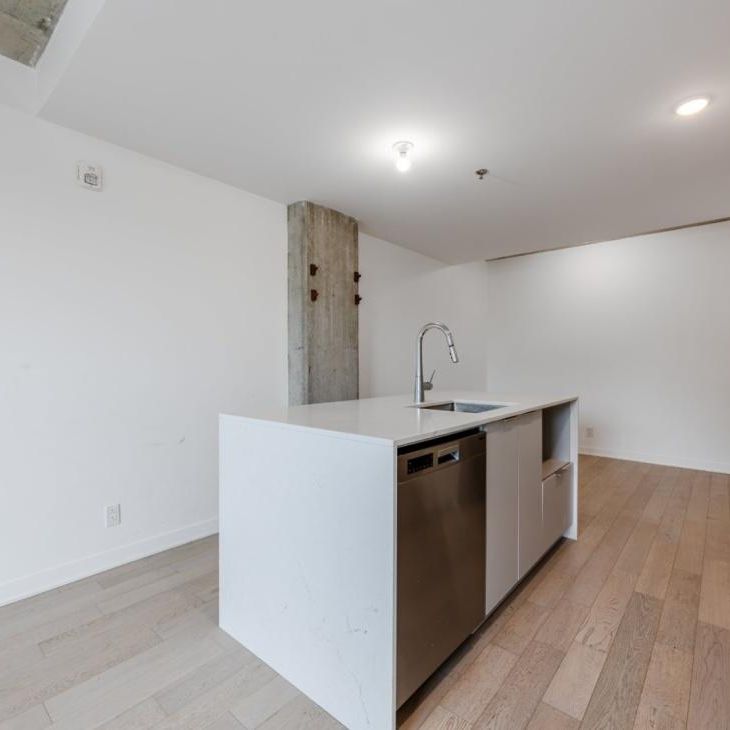 Appartement à louer - Montréal (Côte-des-Neiges/Notre-Dame-de-Grâce) (Côte-des-Neiges) Appartement à louer - Montréal (Côte-des-Neiges/Notre-Dame-de-Grâce) (Côte-des-Neiges) - Photo 1