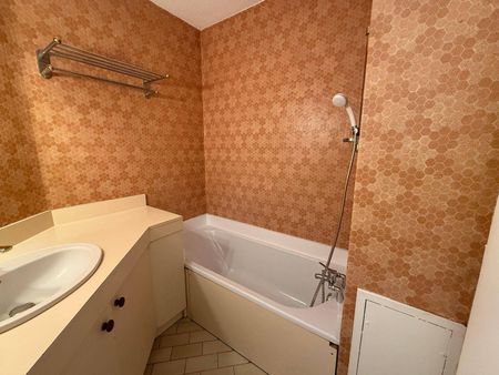 Location appartement 1 pièce 18.42 m² à Romans-sur-Isère (26100) 4 - Photo 5