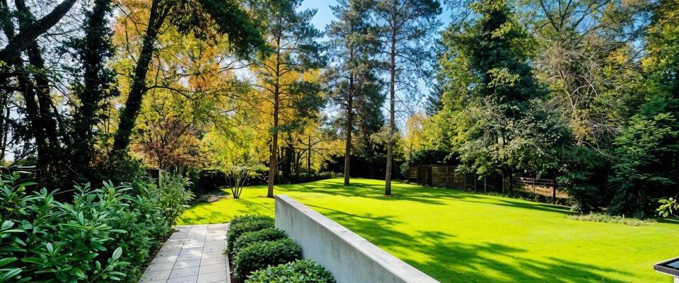 Exklusive 3-Zimmer-Wohnung mit Terrasse zur Miete in Berlin-Westend - Photo 1