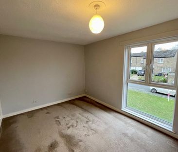 Lancewood Walk - Photo 3