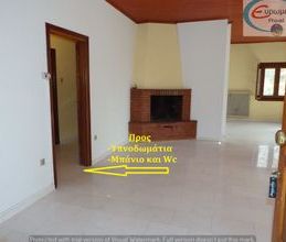 Διαμέρισμα για ενοικίαση - Αρτέμιδα, - Φωτογραφία 5
