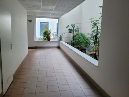Mieszkanie Centrum Szczecin, Plac Stefana Batorego, nr 437194 - Photo 4
