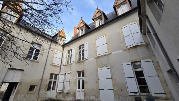 Location Appartement 1 pièce 18m² ORLEANS 45000 - Photo 1