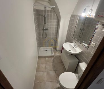 Location Appartement 2 pièces 45m² MONTPEYROUX 34150 - Photo 2
