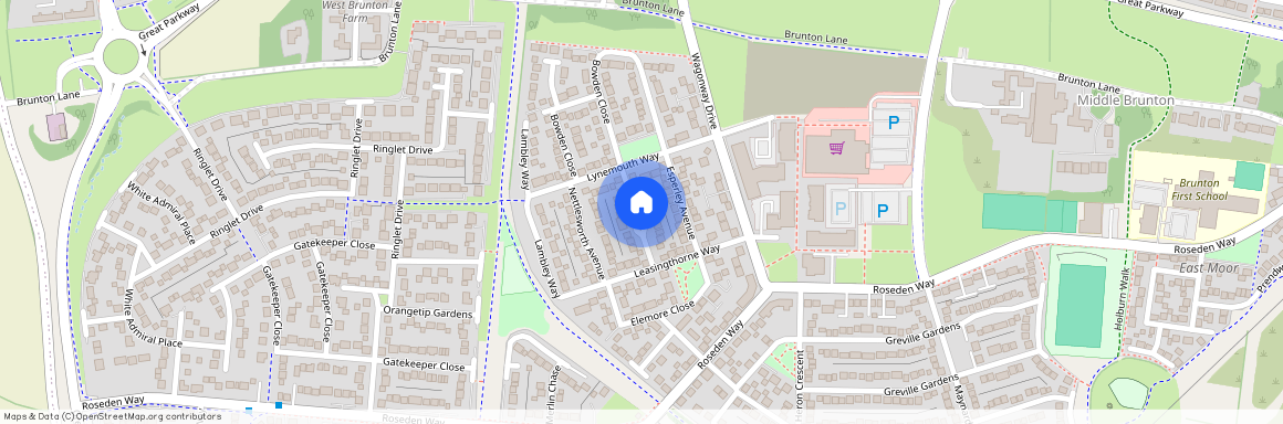 Iveston Avenue, Great Park, Newcastle Upon Tyne