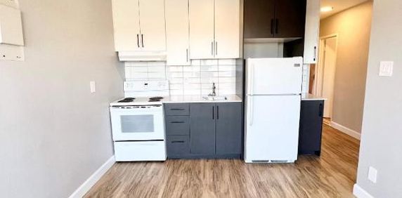 1 CH - 1 SDB - Montréal - $1,300 /mo - Photo 2