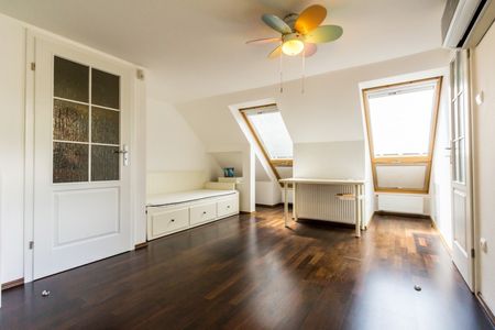 Denevér köz - Fotó 3