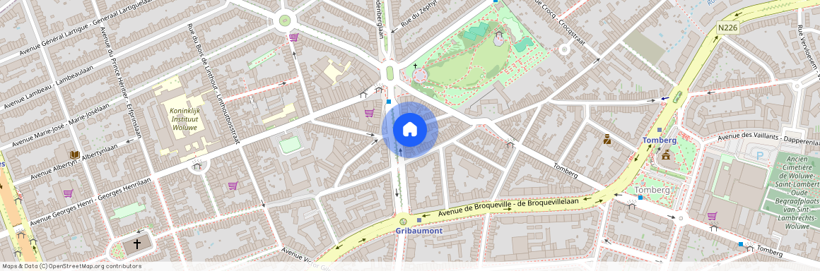 Ridder Koninglaan, 40, 1200, Sint-Lambrechts-Woluwe