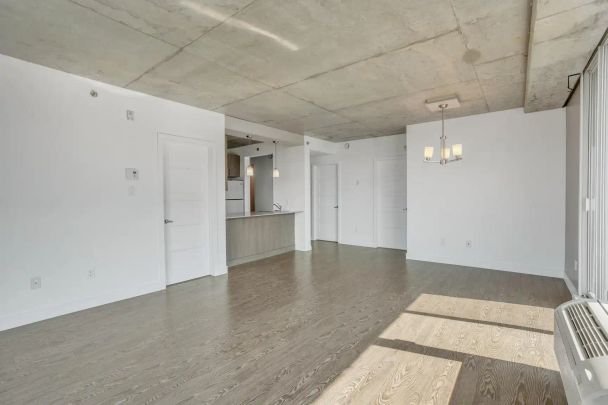 250-260-270 Maisonneuve — 260-501 - Photo 1