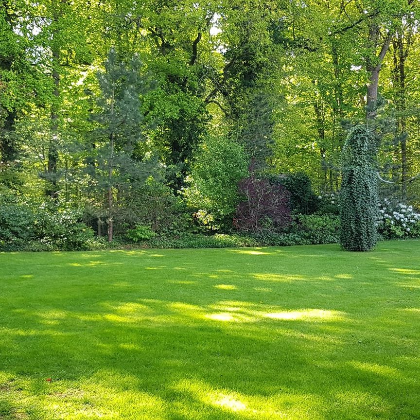 Verhuurd: Maarsbergseweg 33c, 3956 KT Leersum - Photo 1