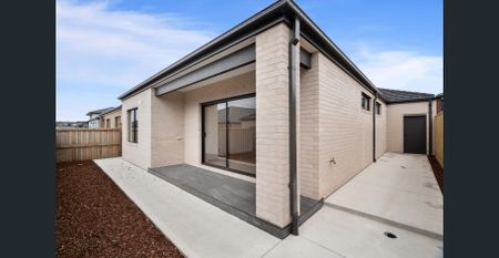Modern Family Living in a Brand-New Donnybrook Gem - Photo 5