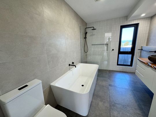 Sunny & Spacious Living in a Convenient Location - Photo 1