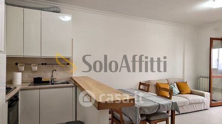 Bilocale in Affitto in Via Amos Zanibelli 15 a Roma - Foto 4
