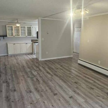 Newly Renovated 1-Bedroom Apartment Centrally Located in Abbotsford - Photo 4