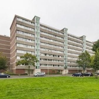 Androsdreef 0ong, 3562 XP Utrecht, Nederland - Photo 3