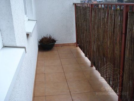 4 pokoje na wynajem - Zdjęcie 2