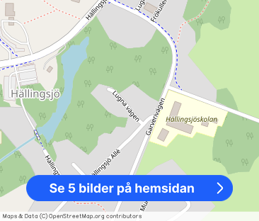 Lugna vägen, Hällingsjö - Foto 1