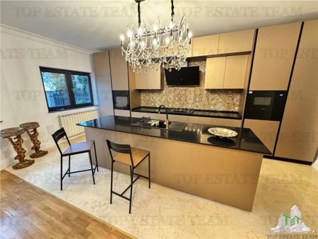 Vila pretabila rezidenta/office Iancu Nicolae - Fotografie 3