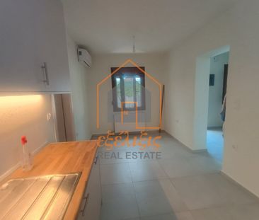Μονοκατοικία για ενοικίαση Κέντρο (Αγριά) - Φωτογραφία 3