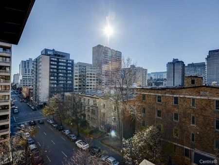 Appartement à louer - Montréal (Ville-Marie) (Centre Ouest) - Photo 5