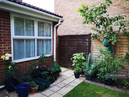 3 bedroom semi-detached house to rent - Photo 3