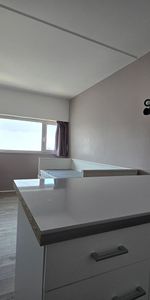 Location Appartement 1 pièce 17m² - Photo 3