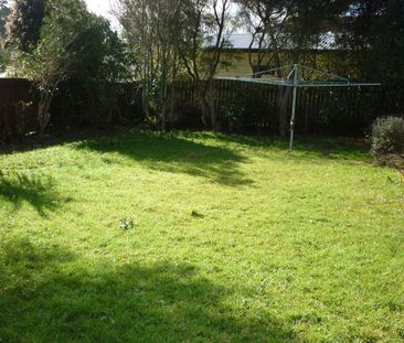 A/8 Serjeant Street - Photo 5