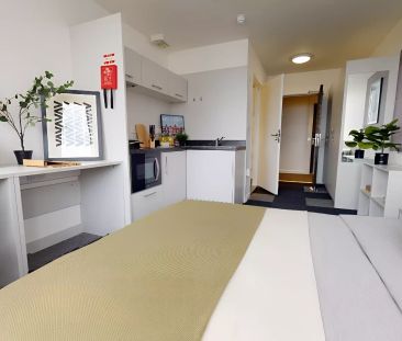 Bronze Studio Plus - Photo 5