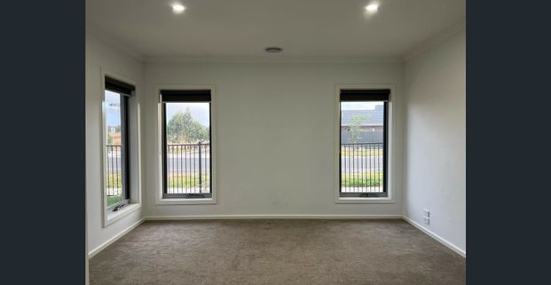 Stylish Family Living with Stunning Views - Photo 1