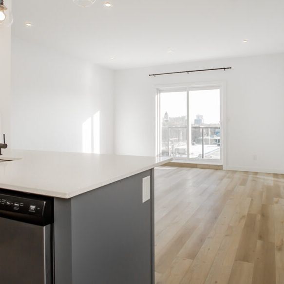 Newcastle: Black Accents – 710 Westminster, Winnipeg, MB - Photo 1