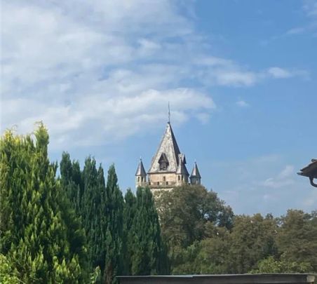 Wunderschöne 3 Zimmer Wohnung mit Balkon in Schloss Egg - Foto 1