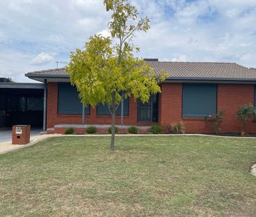 Immaculate Three Bedroom House in Beautiful Street - Photo 3