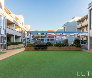 K1/2 Currie Crescent, Griffith ACT 2603 - Apartment For Rent | Domain - Photo 3