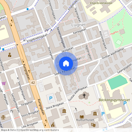 Berzeliigatan, Borås