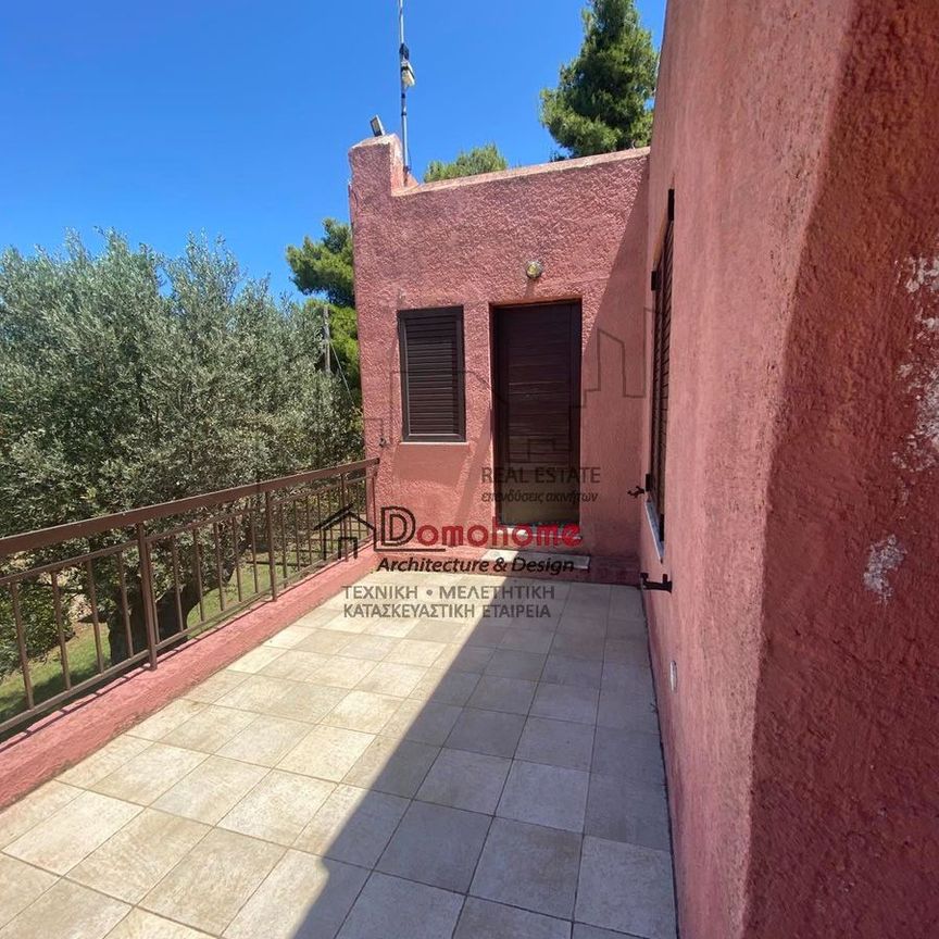 Μονοκατοικία για ενοικίαση Κέντρο Μαρκόπουλου Ωρωπού (Μαρκόπουλο Ωρωπού) - Photo 1