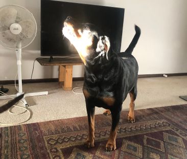 Cranbourne - Photo 3