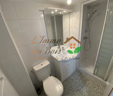 Location Appartement 1 pièce 23m² VIENNE 38200 - Photo 4