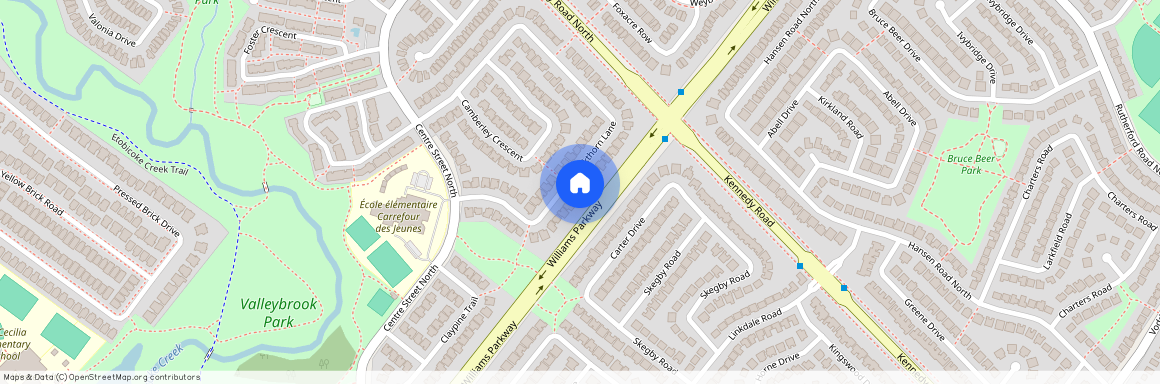 30 Blackthorn Lane, Brampton