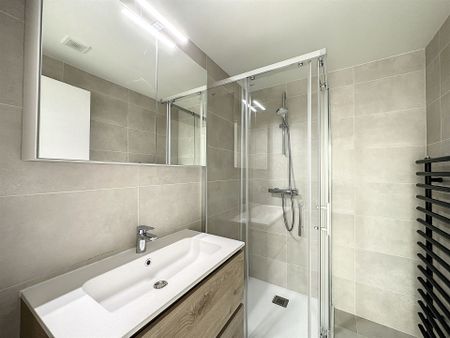 Rue du Colombier 14, 1000 BRUXELLES - Photo 4