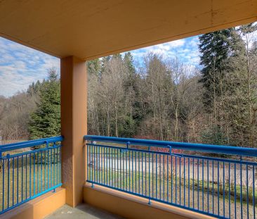 Traumwohnung am Stadt- sowie Waldrand! - Foto 4
