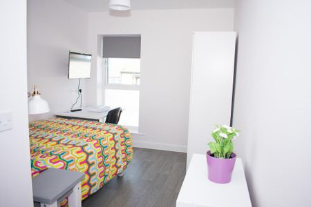 4 bedroom private hall to rent - Photo 3