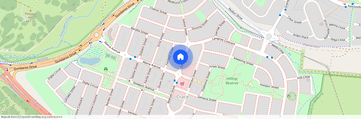 19 Galore Street, Crace