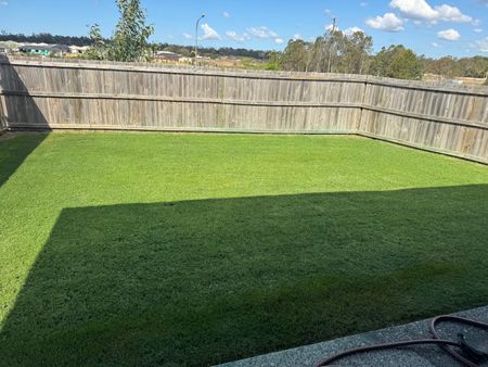 Park Ridge - Photo 4