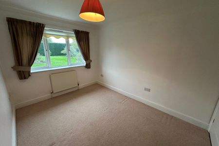 Brandon, Sedge fen - Photo 2