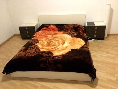 2-ROOM APARTMENT IN BERN - FELSENAU/TIEFENAU, FURNISHED, TEMPORARY - Photo 3