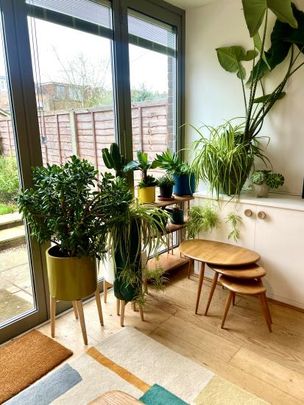 Large sunny double room overlooking the garden in Teddington. - Photo 1