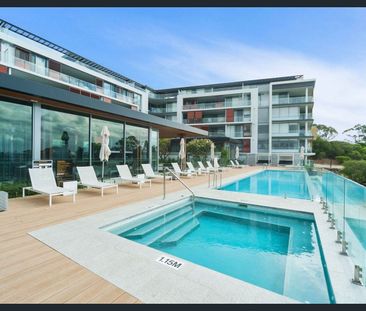 75/2 Milyarm Rise, Swanbourne, WA 6010 - Photo 3