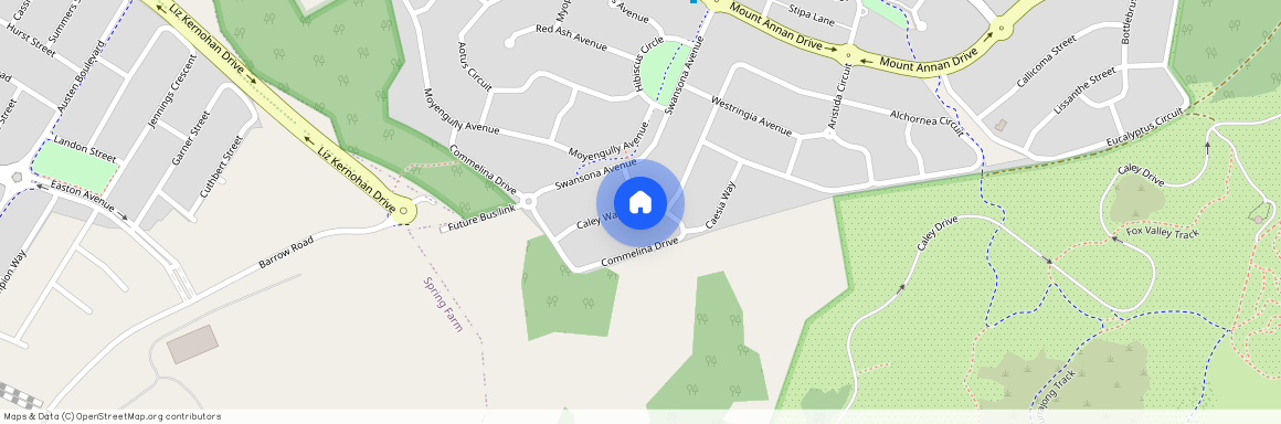 45 Commelina Drive, NSW 2567, Mount Annan