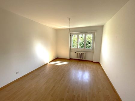 Helle 3.5-Zimmer-Wohnung in Trimbach in unmittelbarer Nähe zum Kantonsspital - Foto 3