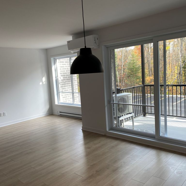 Logement 4 1/2 + Bureau - Février 2025 - Photo 1